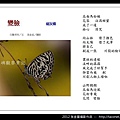 孫金星攝影作品_23.jpg