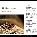 孫金星攝影作品_72.jpg