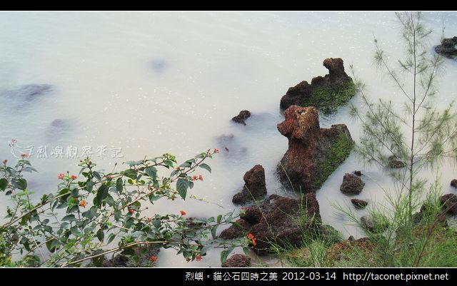 埔頭。貓公石_20 埔頭。貓公石_20