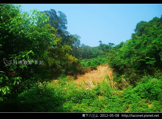 庵下八三一遺址_06