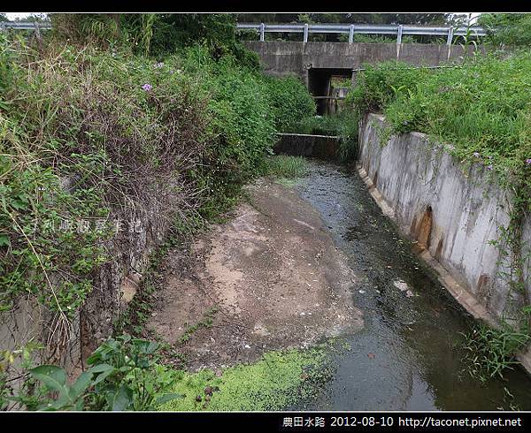 農田水路_12