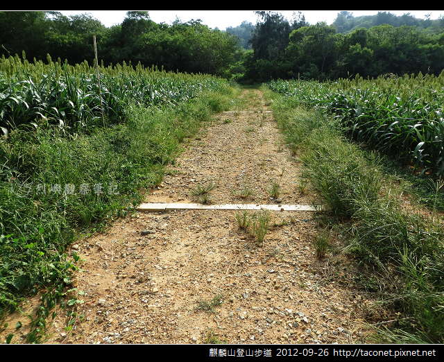 麒麟山登山步道 _03