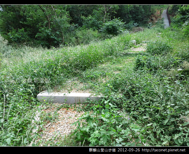 麒麟山登山步道 _10