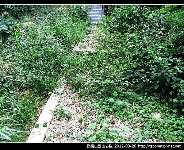 麒麟山登山步道 _11