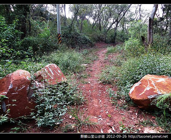 麒麟山登山步道 _20