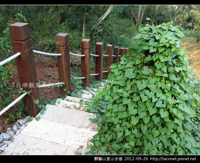 麒麟山登山步道 _30