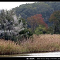 陵水湖賞鳥 _11