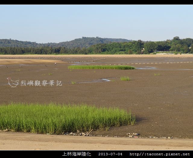 上林海岸陸化_08.jpg