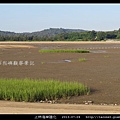 上林海岸陸化_08.jpg