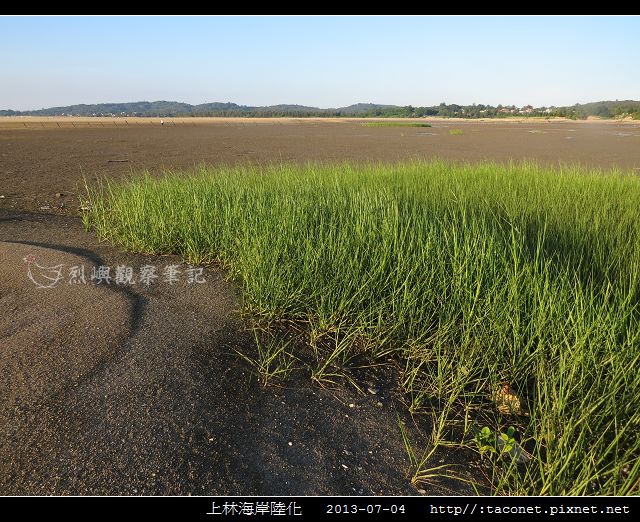 上林海岸陸化_14.jpg