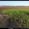 上林海岸陸化_14.jpg