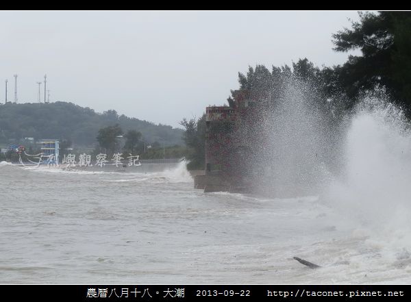 大潮-13.jpg 大潮-13.jpg