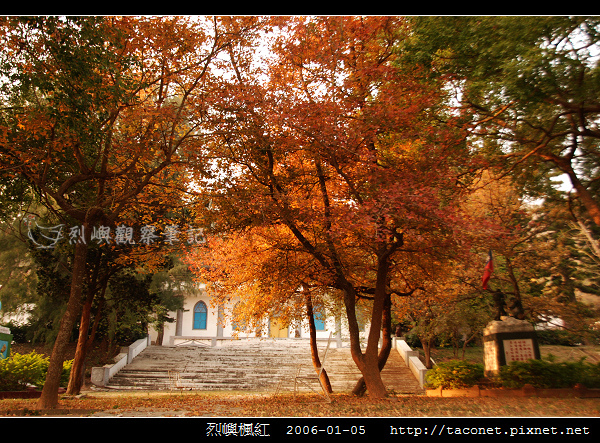 烈嶼楓紅 _10.jpg 烈嶼楓紅 _10.jpg