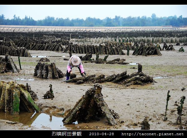 烈嶼蚵田景觀_04.jpg 烈嶼蚵田景觀_04.jpg