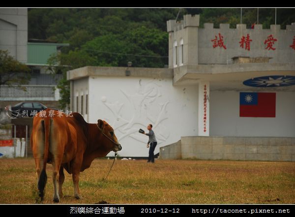 烈嶼綜合運動場_2.jpg