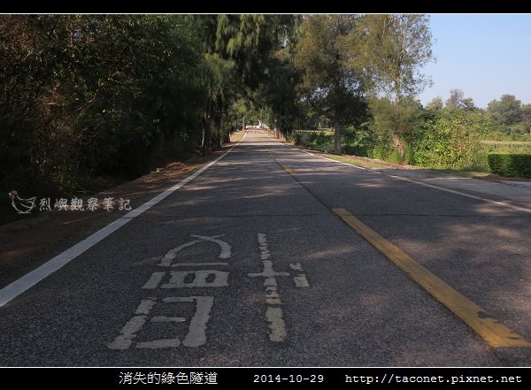 消失的綠色隧道_02.jpg 消失的綠色隧道_02.jpg