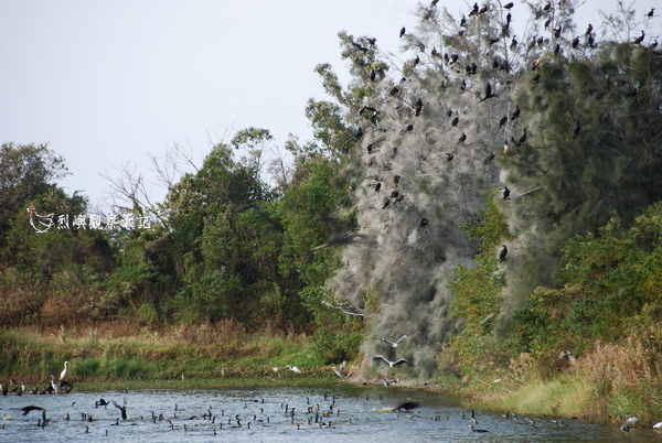 DSC_0725.jpg DSC_0725.jpg