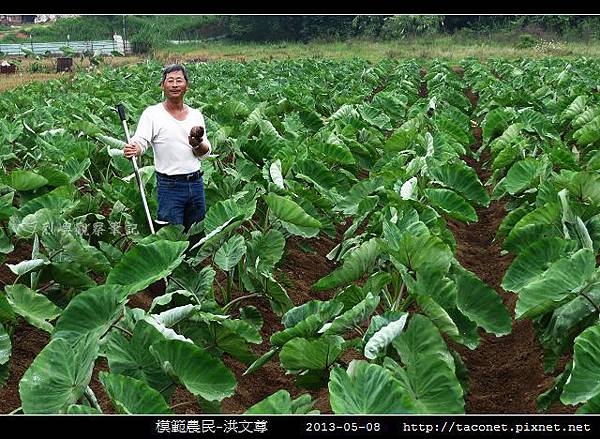 模範農民-洪文尊_02.jpg 模範農民-洪文尊_02.jpg