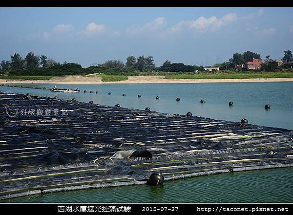 西湖水庫遮光控藻試驗_08.jpg