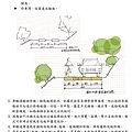 烈嶼鄉車轍道周邊環境改善工程_29.jpg