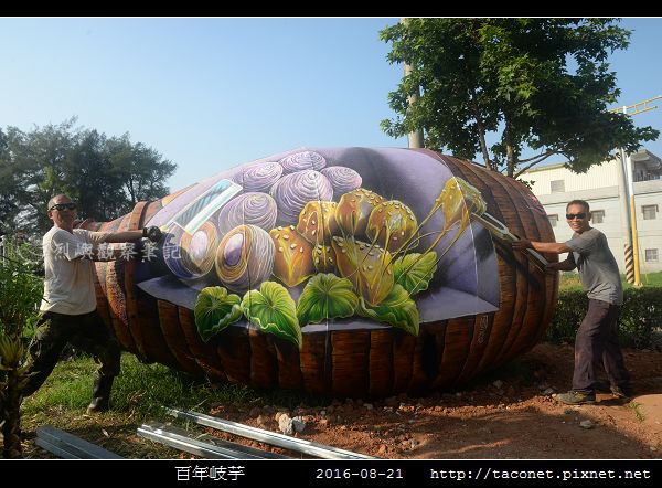 百年岐芋_29.jpg 百年岐芋_29.jpg