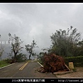 2016莫蘭蒂颱風肆虐後的烈嶼_006.jpg