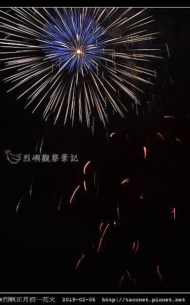 これまでで最高の正月 花火 最高の花の画像 これまでで最高の正月 花火 最高の花の画像