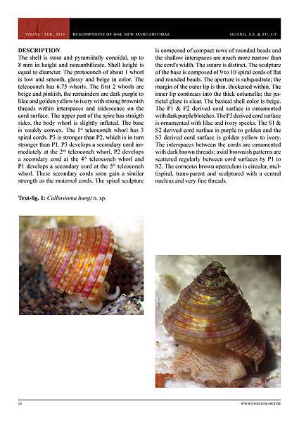 01- Huang & Fu- Margaritidae and Calliostomatidae_頁面_06.jpg