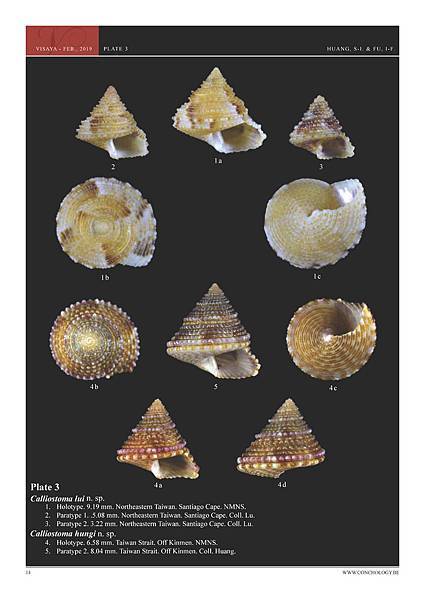 01- Huang & Fu- Margaritidae and Calliostomatidae_頁面_10.jpg
