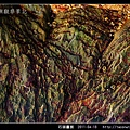 石頭畫展_03.jpg