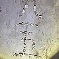金字050_18.jpg