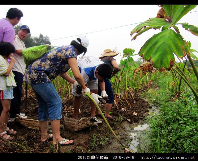 2010烈嶼芋頭節_07.jpg