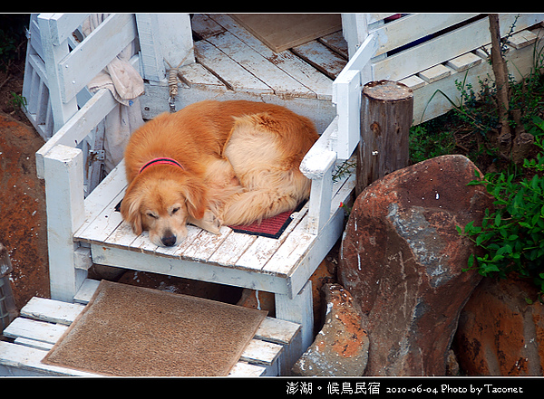 澎湖候鳥民宿_016.jpg
