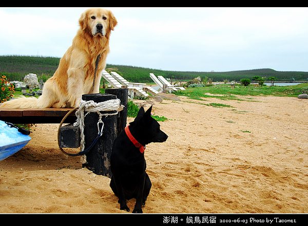 澎湖候鳥民宿_012.jpg