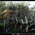 烈嶼。L-044據點_23.jpg