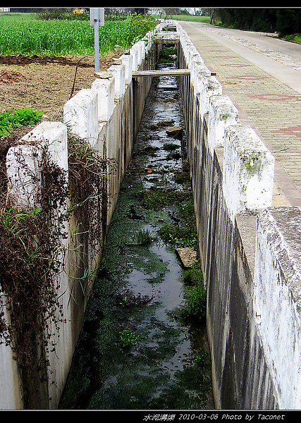 雙口濱海大道旁排水溝