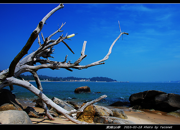 東崗沙岸_15