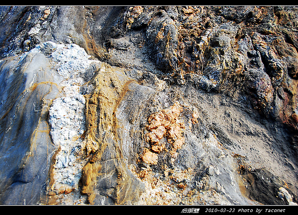 混合岩野外露頭