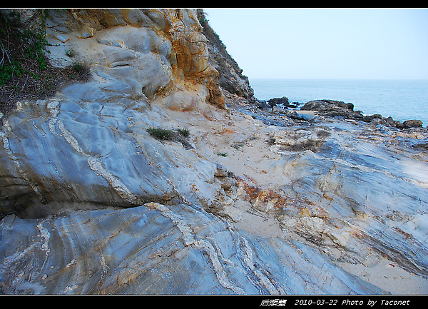 混合岩野外露頭