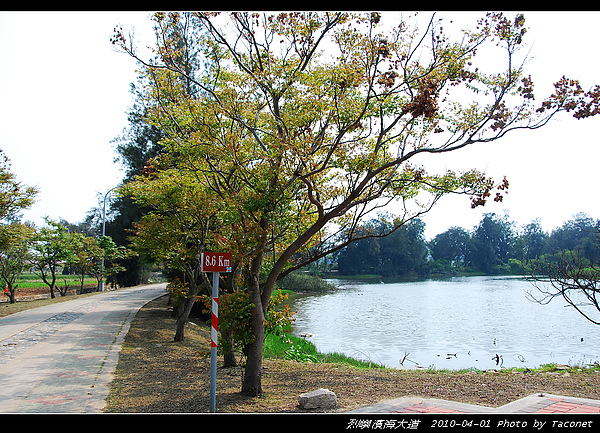 濱海大道8.6km.jpg