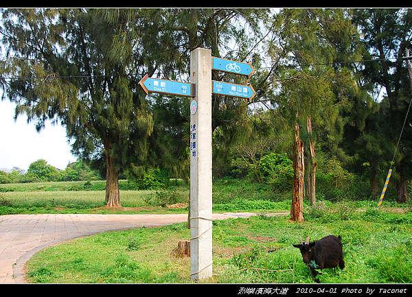 濱海大道12.3km