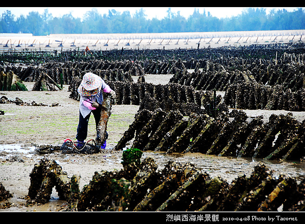 烈嶼西海岸_33.jpg