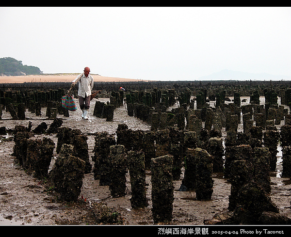 烈嶼西海岸_37.jpg