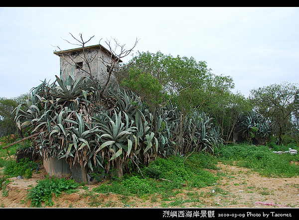 烈嶼西海岸_55.jpg