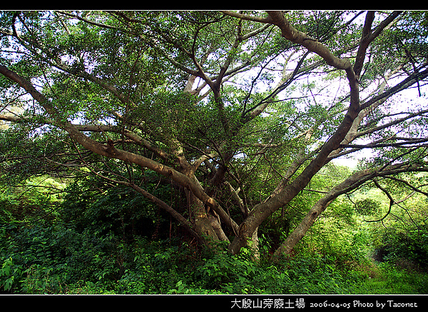 大殷山旁廢土場_01.jpg