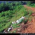 大殷山旁廢土場_06.jpg