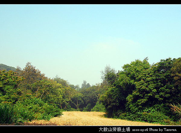 大殷山旁廢土場_15.jpg