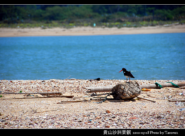 貴山沙洲景觀_40.jpg
