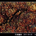 石頭畫展_34.jpg