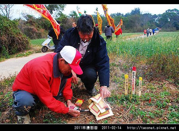 2011l林邊割香_18.jpg
